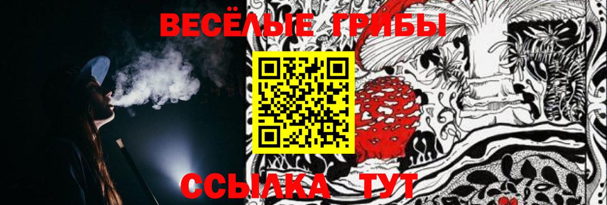 Псилоцибиновые грибы GOLDEN TEACHER  купить наркоту  Россия  Вход с VPN 
